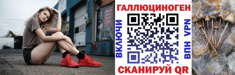 Купить  Кедровый  Псилоцибиновые грибы Cubensis 